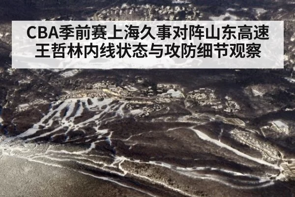 CBA季前赛上海久事对阵山东高速王哲林内线状态与攻防细节观察